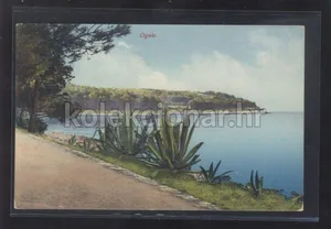Fotografija 1