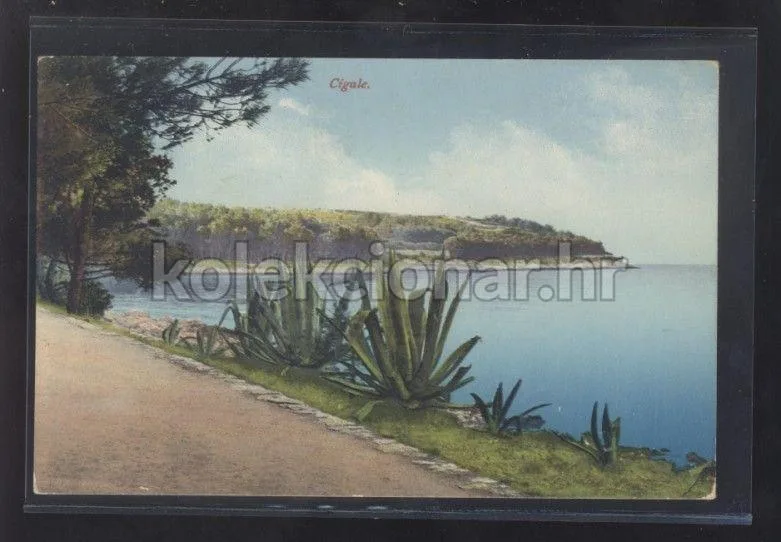 Fotografija proizvoda