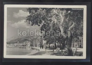 Fotografija 1