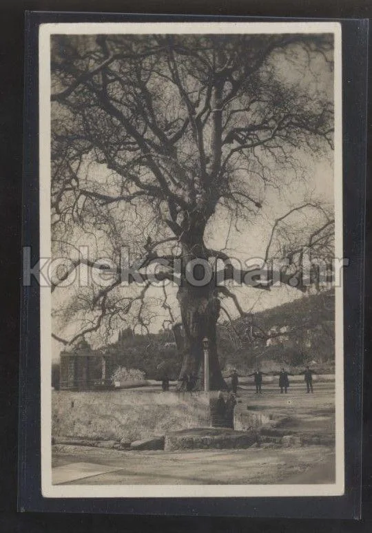 Fotografija proizvoda