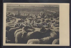 Fotografija 1