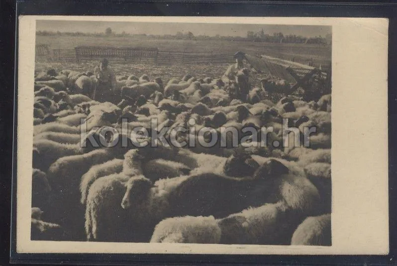 Fotografija proizvoda