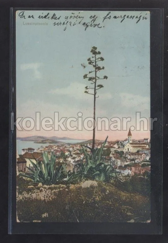 Fotografija proizvoda