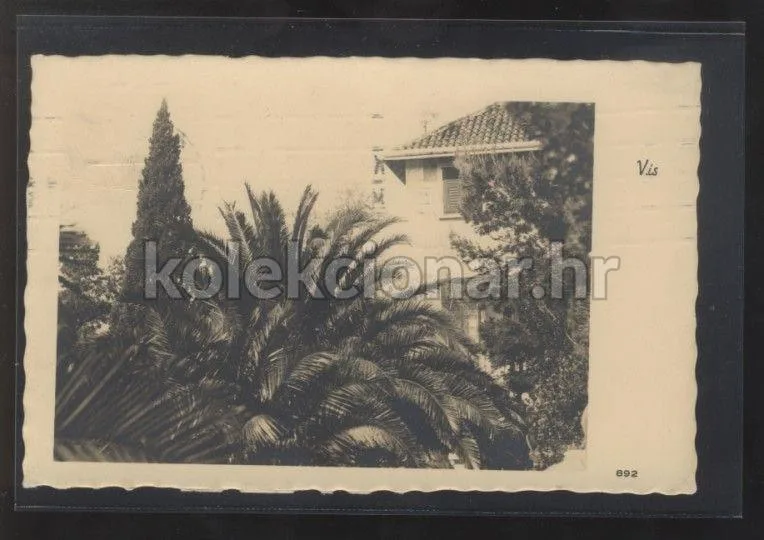 Fotografija proizvoda