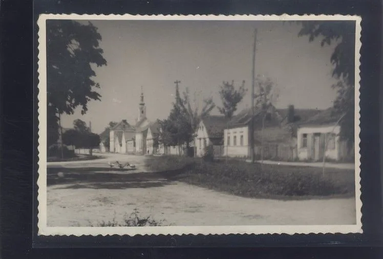 Fotografija proizvoda